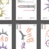 Prop Pattern: Khaslana's Halo from Honkai Star Rail Cosplay Template Blueprint PDF